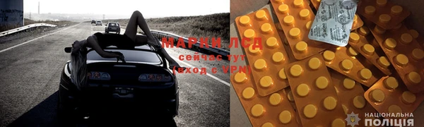 PSILOCYBIN Верхний Тагил