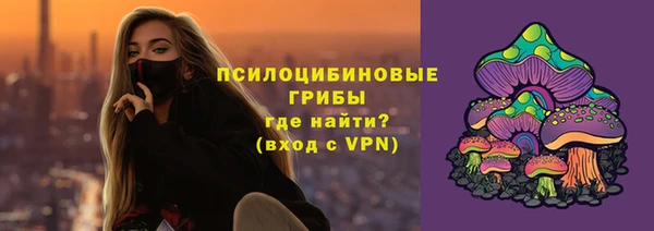 PSILOCYBIN Верхний Тагил