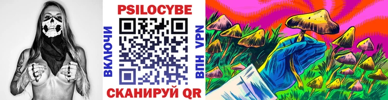 Купить закладки  Облучье  Галлюциногенные грибы мицелий 